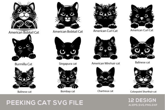 12 Peeking Cat SVG Silhouette Files Review