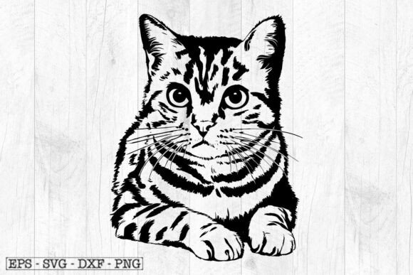 Cat Svg Download: Real-World Embroidery Review