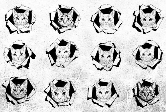 Kitty on the Wall SVG Bundle Review