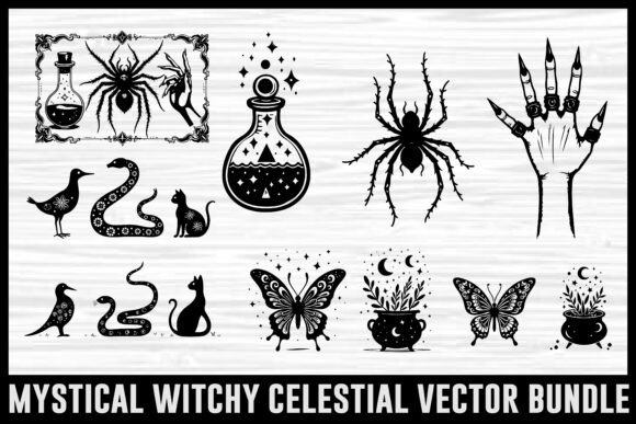 Mystical Witchy Celestial Vector Pack Review