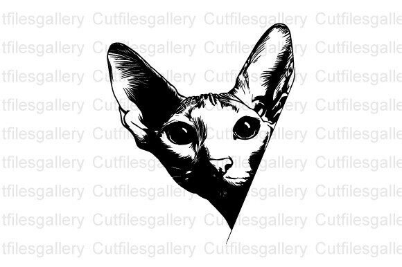 Peeking Oriental Shorthair Cat SVG, Cat Review