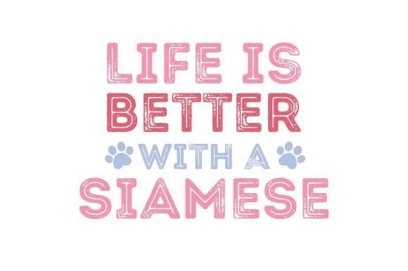 Retro Siamese Cat SVG Sublimation Design Review