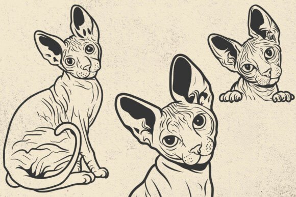 Sphynx Cat SVG Files: A Designer's Real-World Embroidery Review